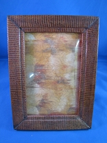 7. Reptile Skin Frame 